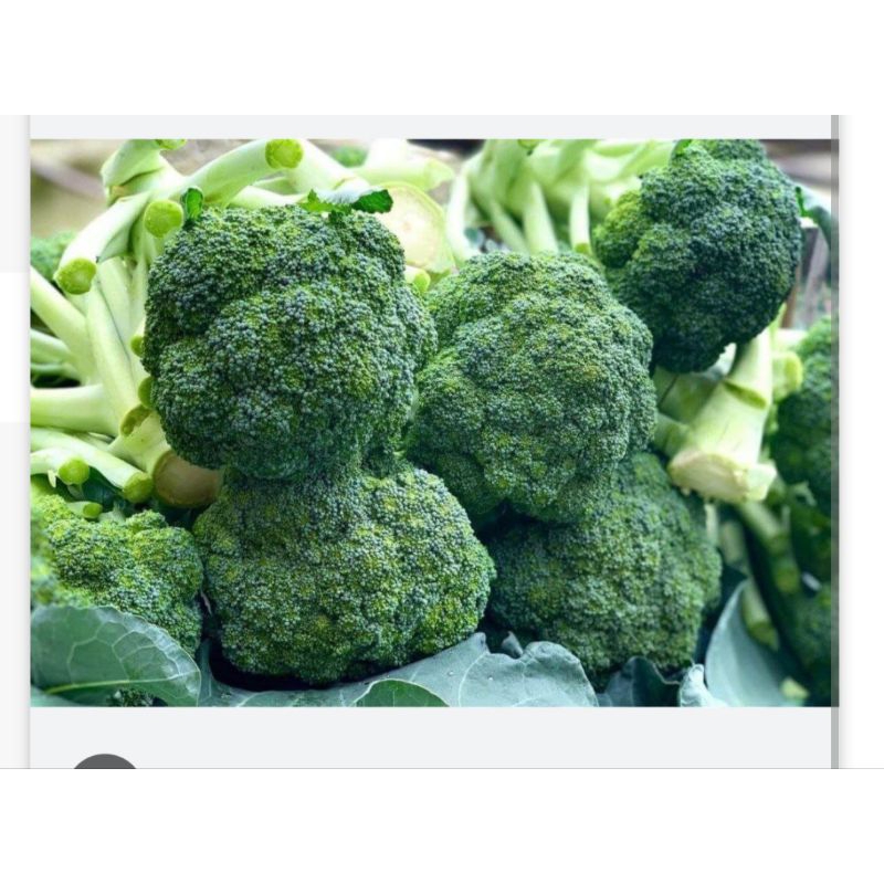 

Sayur Brokoli Segar ½kg - 500gram