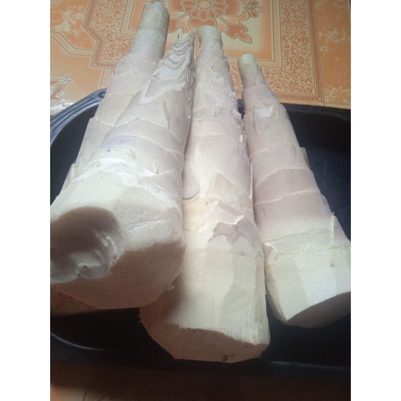 

rebung bambu segar paket 500 grm