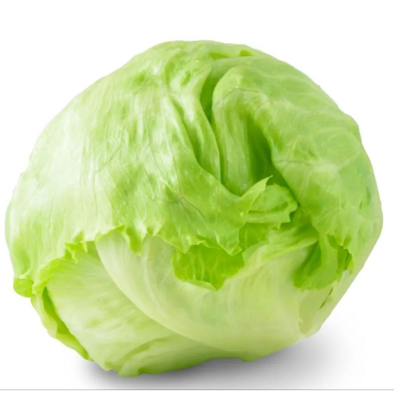 

Sayur Head Lettuce Segar ½kg - 500gram