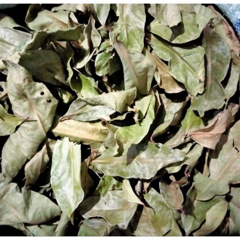 

TANAMAN HERBAL KERING UNTUK KECANTIKAN DAN PERAWATAN DARI DALAM