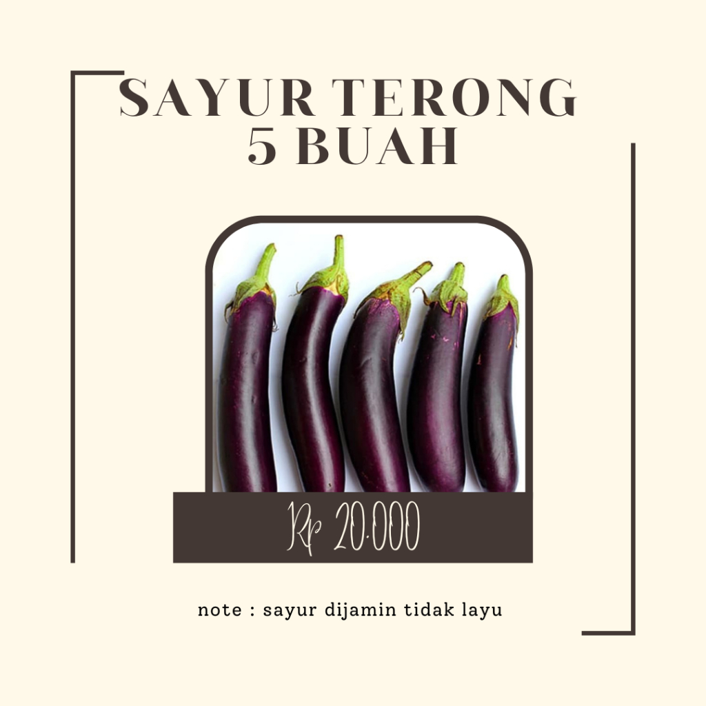 

TERONG UNGU PANJANG 5 BUAH