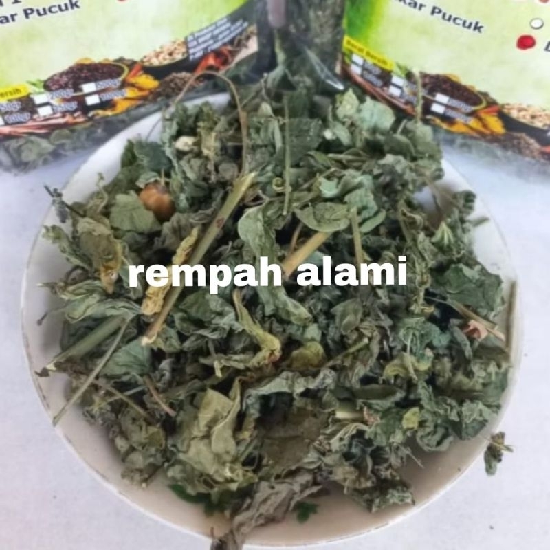 

Daun Katuk Kering 100/200gr