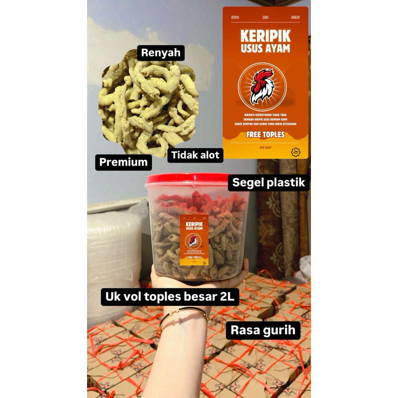 

KRIPIK USUS