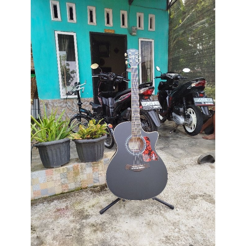 gitar taylor akustik custom