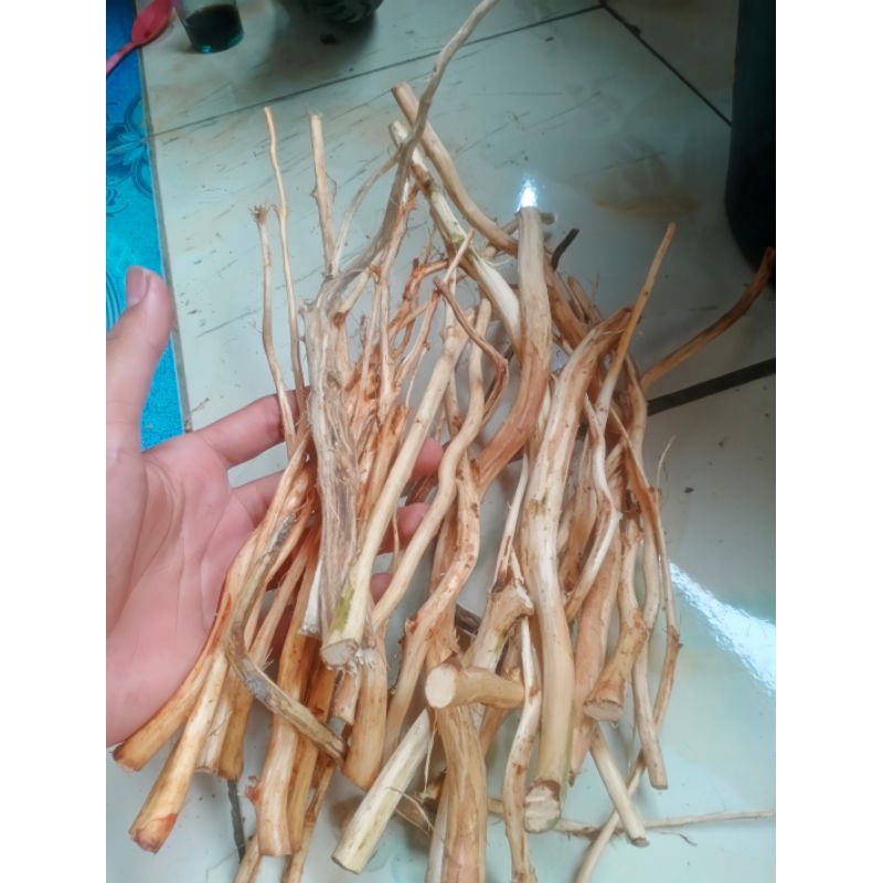 patahan akar dekorasi Aquarium akar aquascape