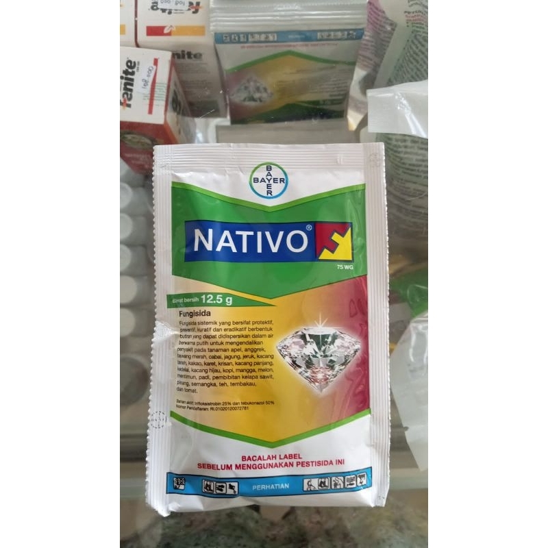 nativo 12.5gram