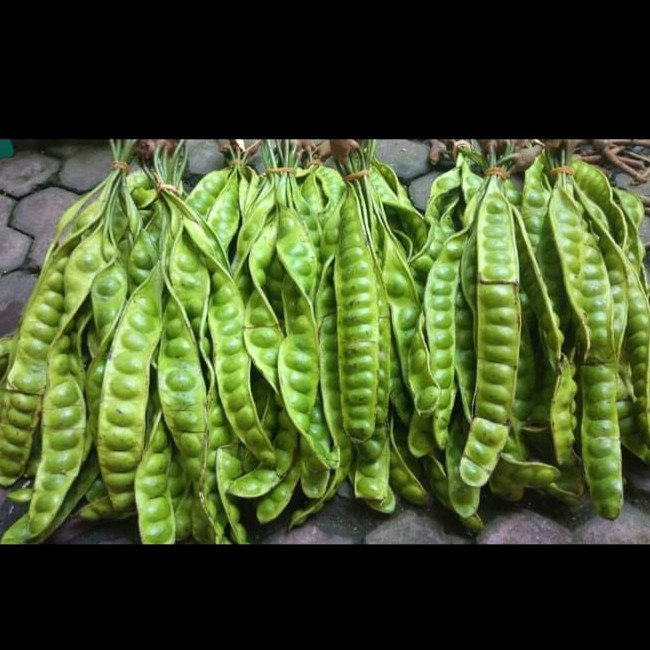 

Fresh Pete Petai Sedang Per 1 Papan / Lonjor