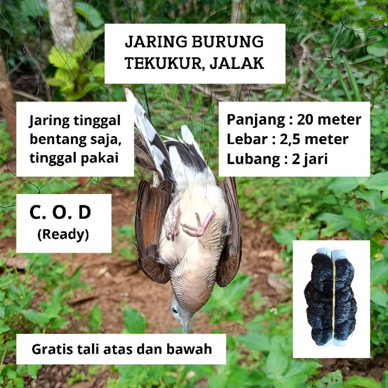 PIKAT BURUNG TEKUKUR JARING BURUNG PANJANG 20 METER LEBAR 2,5 METER WARNA HITAM COCOK UNTUK PERKUTUT