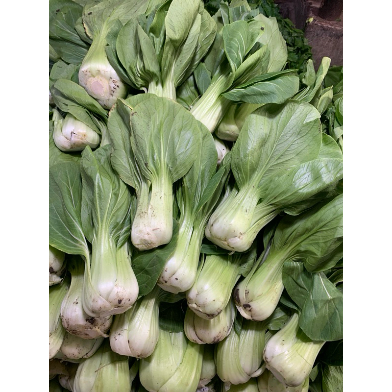 

Sawi Daging / Pakcoy - 500gram