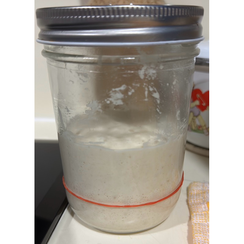 

APPLE SOURDOUGH STARTER levain active natural yeast white flour ragi alami sehat aktif