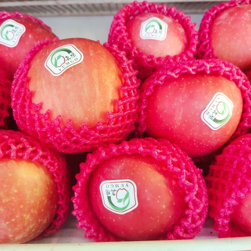 

Apel Premium B / buah segar / parcel buah / parcel buah segar