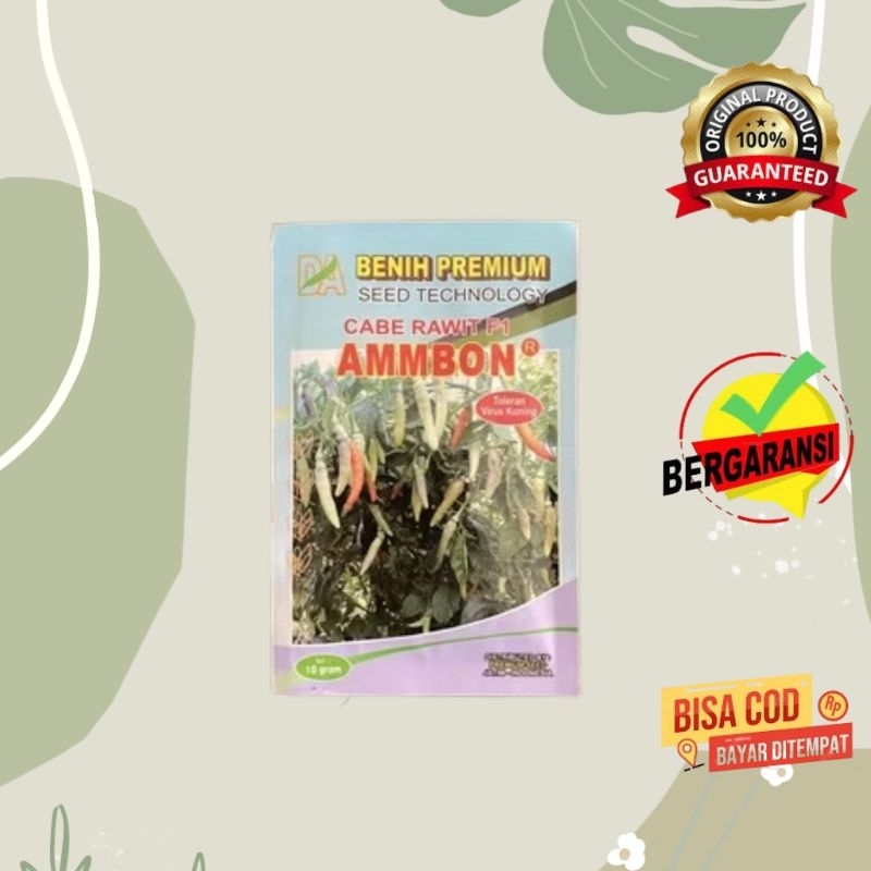 benih cabe ammbon 10 gram