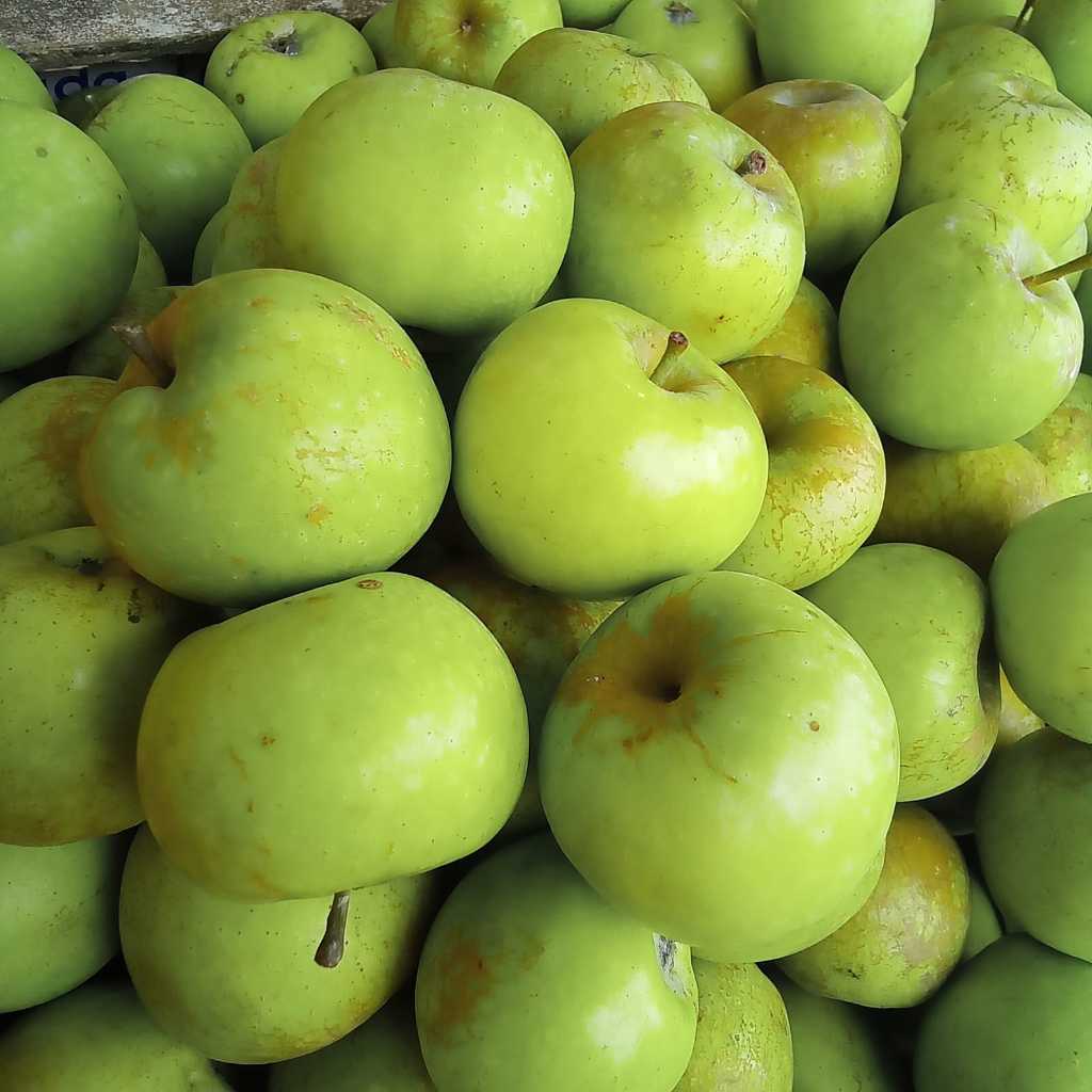 

apel malang hijau mini 1kg