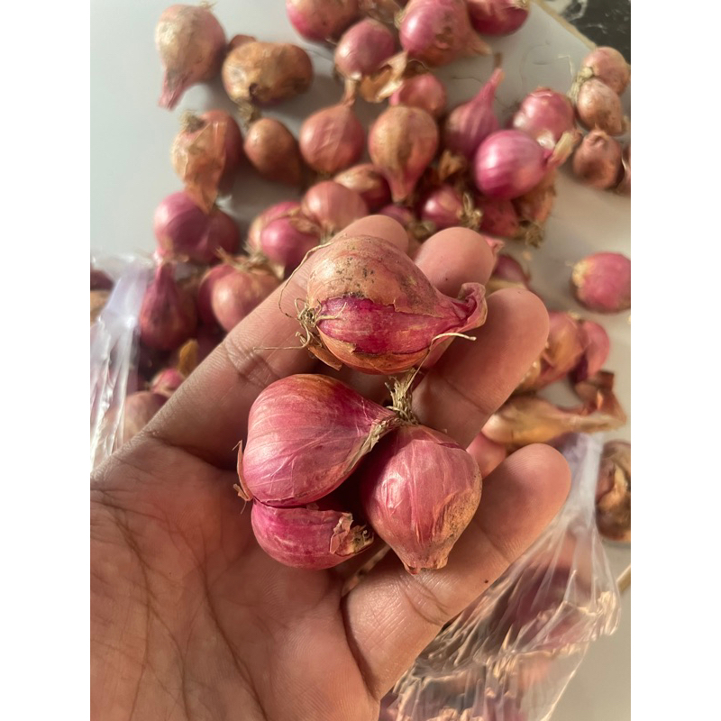 

Bawang Merah Lokal Wonogiri 1kg