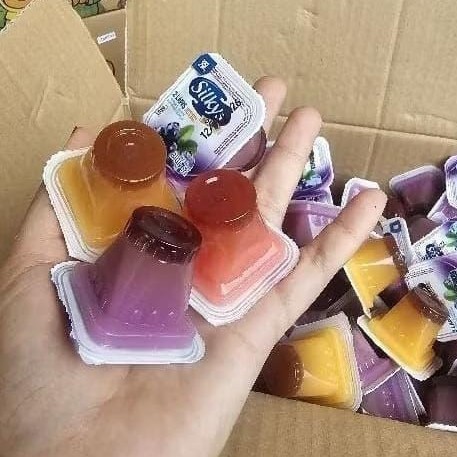 

Silkys Jelly Pudding Mix Fruit Kemasan 500 gr Termurah
