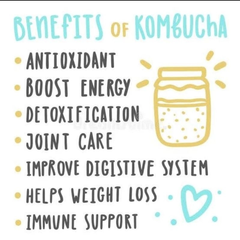 

Kombucha Teh Fermentasi Kesehatan