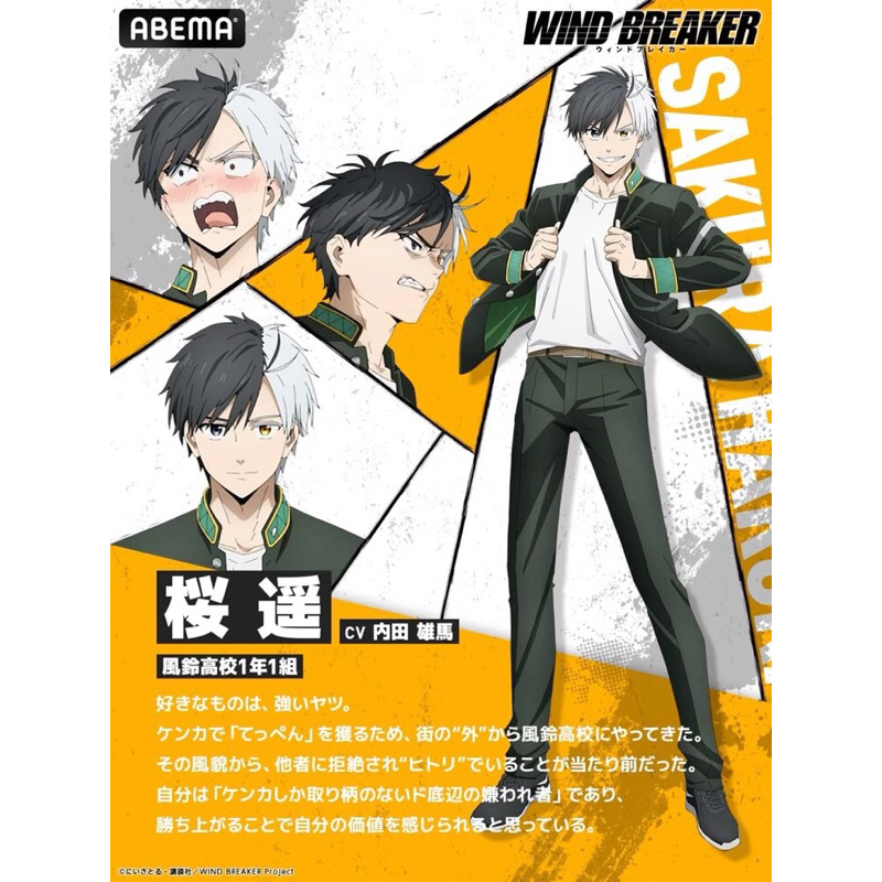 Jual Kostum Sakura Haruka