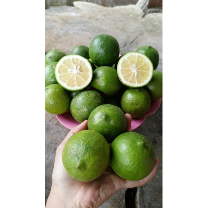 

Jeruk Lemon California