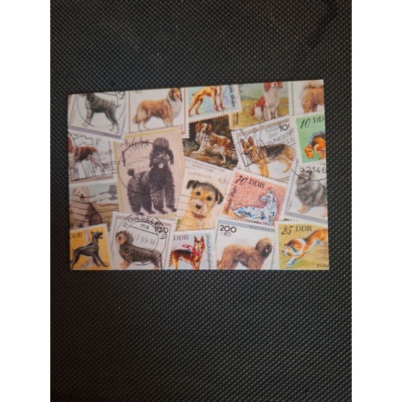 

kartu pos Prangko anjing/dog stamp postcard