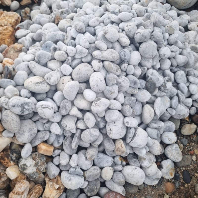 5KG Batu Taman Koral Putih