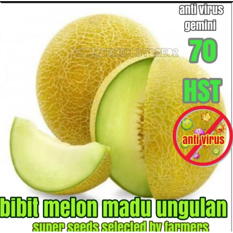 100 BUTIR BIBIT MELON MADU SUPER 100% REAL BIBIT ASLI