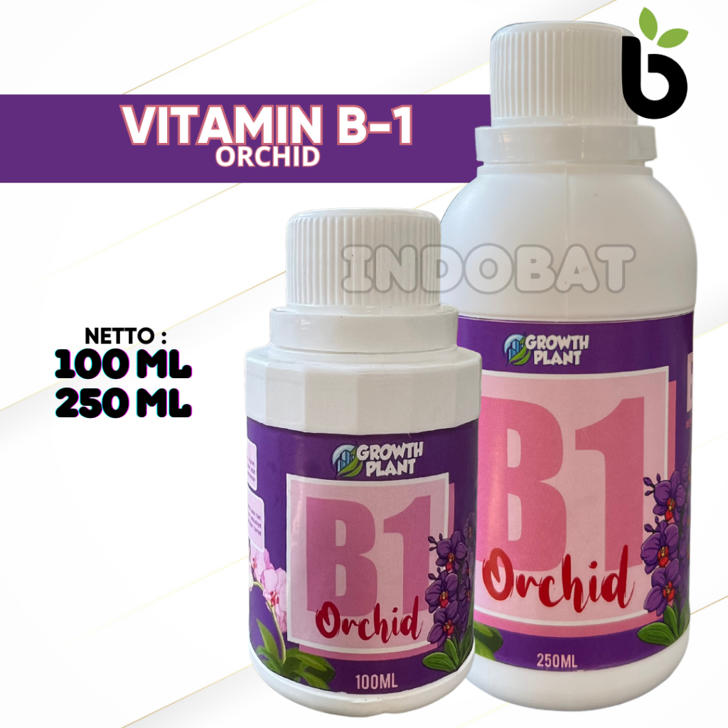 Vitamin B1 Orchid Pupuk Anggrek Untuk Pertumbuhan Dan Mengatasi Stress Tanaman