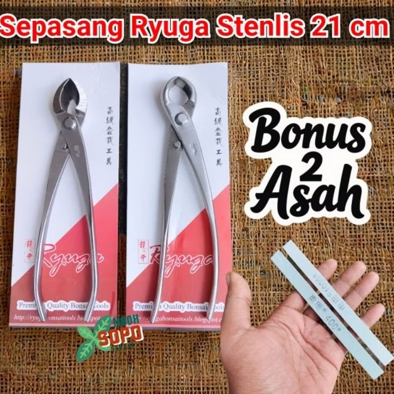 Alat Bonsai, Sepasang Catok / Krekut Ryuga Stenlis, Ukuran 21 cm