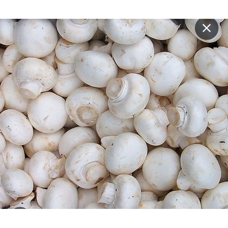 

jamur kancing/champignon 250 gram