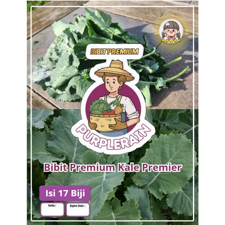 Bibit Premium Kale Premier | Biji Benih Kale Premier| Bibit Sayur Kale