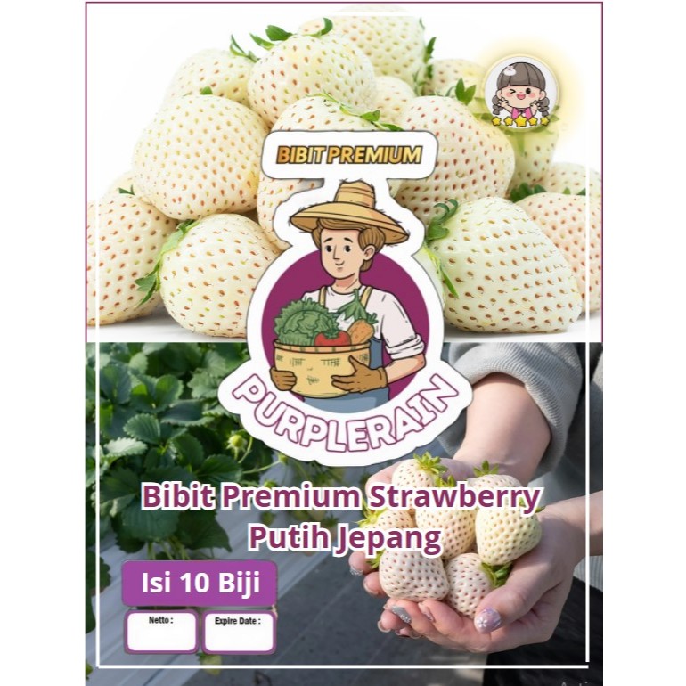 Bibit Unggul Strawberry Putih Jepang | Benih Strawberry Putih | Stroberi