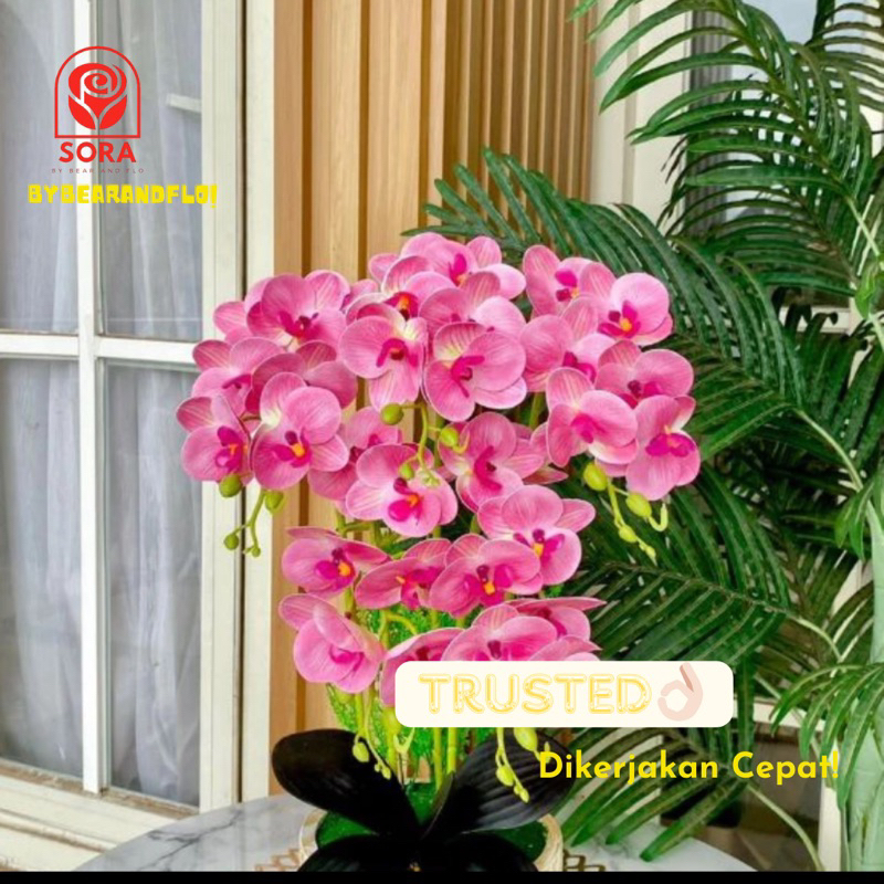 Bearandflorist Hampers Bunga Tanaman Hias Putih Anggrek Pot Artificial Latex Grand Opening Instant J