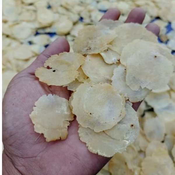 

EMPING MELINJO (biji 1) kwalitas no 2 / lokal ASLI LIMPUNG