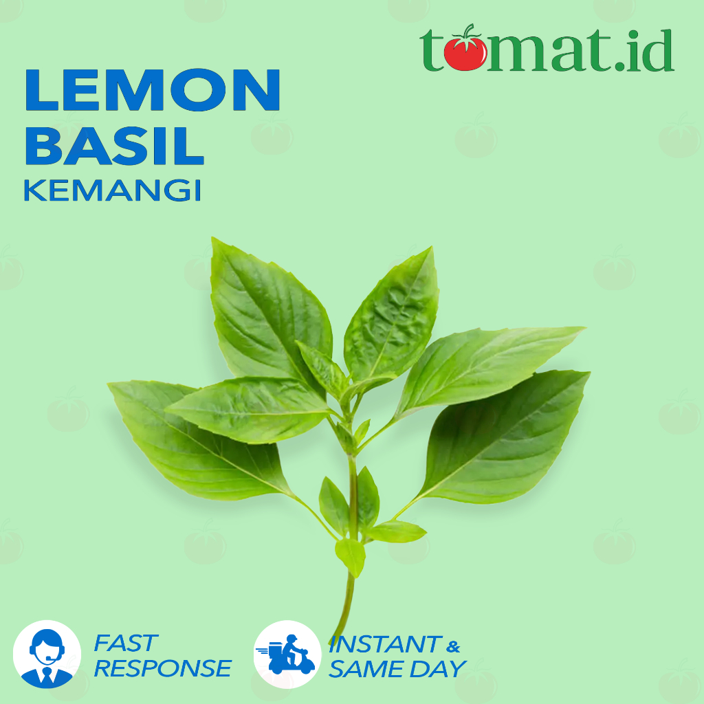 

Kemangi / Lemon Basil