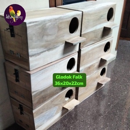 GLODOK KAYU JATI FALK COCKATIELS PINEAPPLE CONURE PARROT FINISHING HALUS SS