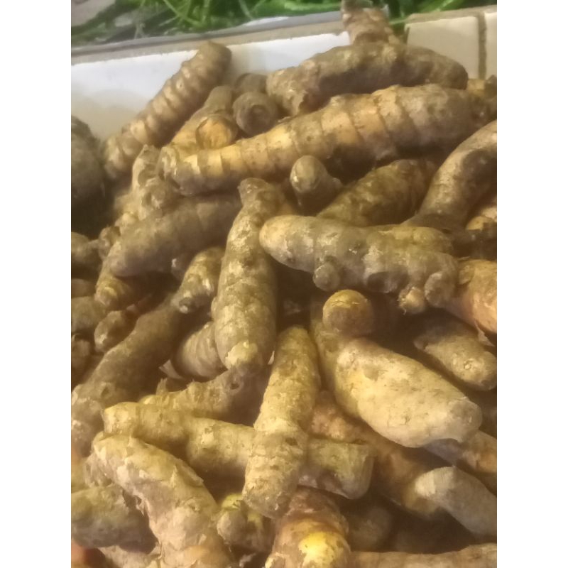

kunyit/kunir/kunyit panjang per 250grm