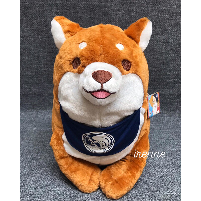 Shiba SK Japan Bigsize