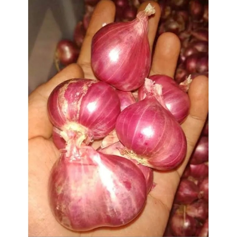 

Bawang merah murah meriah pilihan terbaik