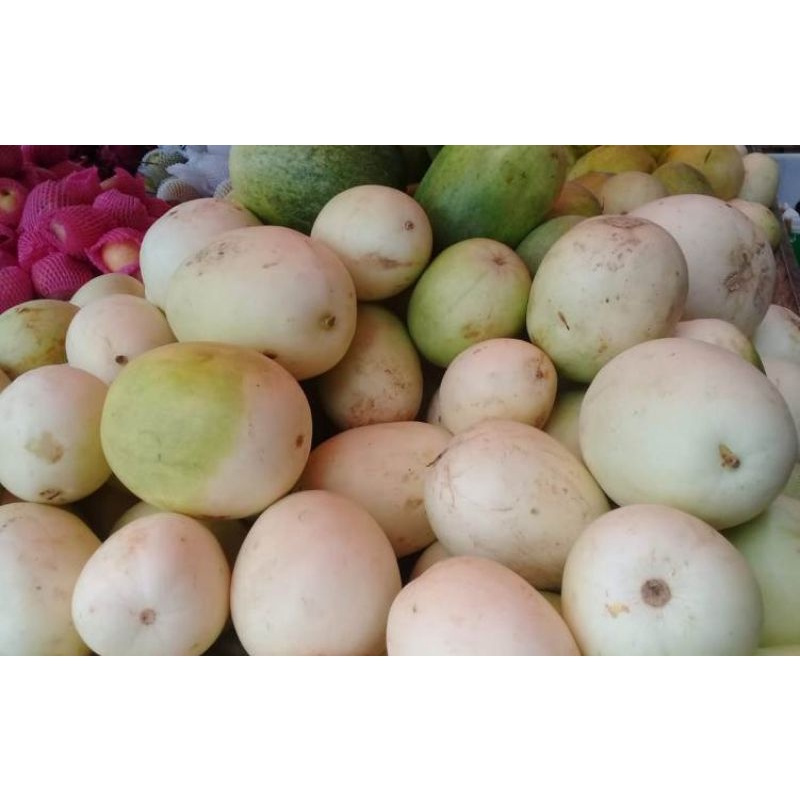 

Timun suri 1kg l Jbp Fresh