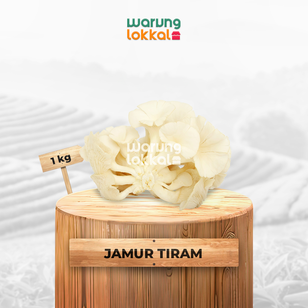 

Jamur Tiram 1 kg - Warung Lokkal