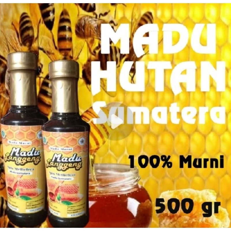 

Raw Madu Hutan/Madu hutan 100%/Madu untuk classic enzyme/Madu hutan Sumatera 500