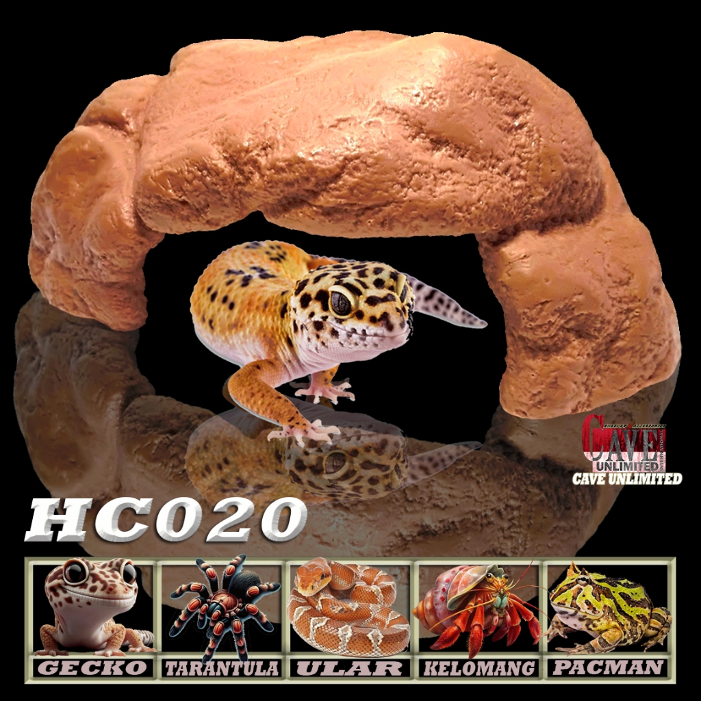 HC020 HIDINGCAVE RUMAH REPTIL GOA TEMPAT SEMBUNYI REPTILE HIDDING CAVE PLACE LEOPARD GECKO CREASTED 