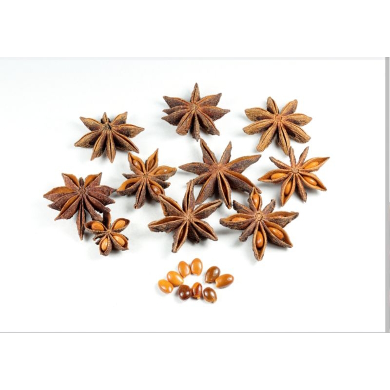 

Kembang Lawang 50gram / Star Aniseeds / Kembang Pekak / Pekak