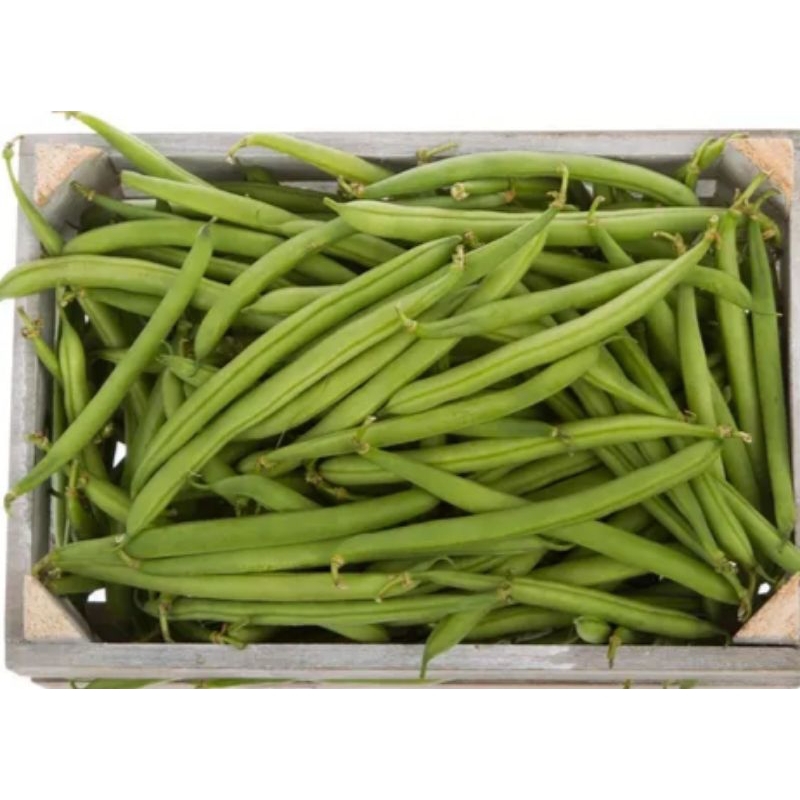 

buncis segar 1 kg / sayur buncis fresh / buncis hijau