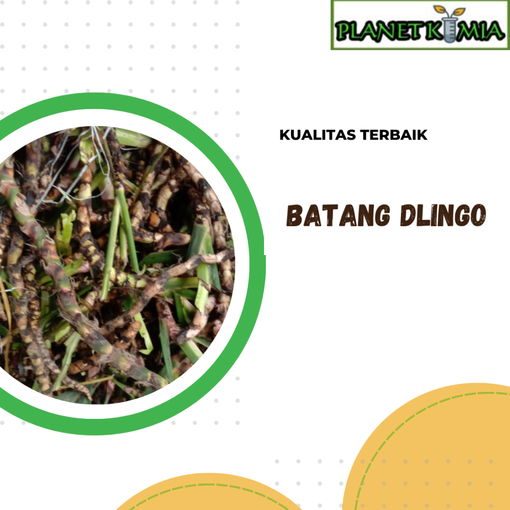 

dried,serbuk batang dlingo best product