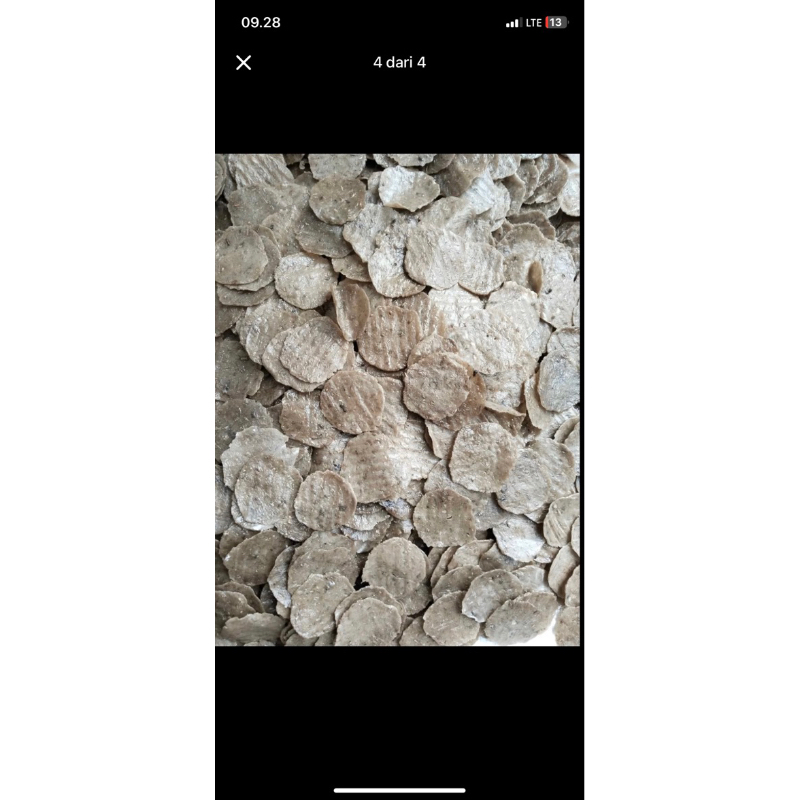 

kemplang tunu pemulutan