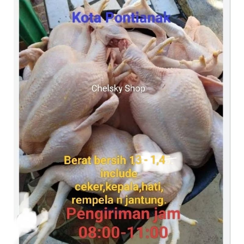 

Ayam Segar Pasar pagi Flamboyan