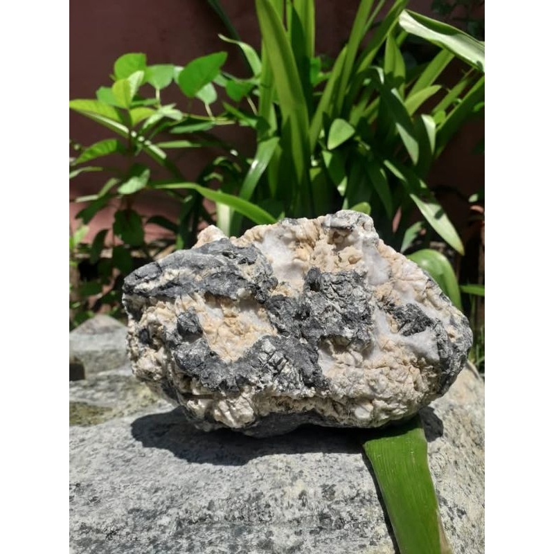 batu truly hitam putih batu aquascape aquarium