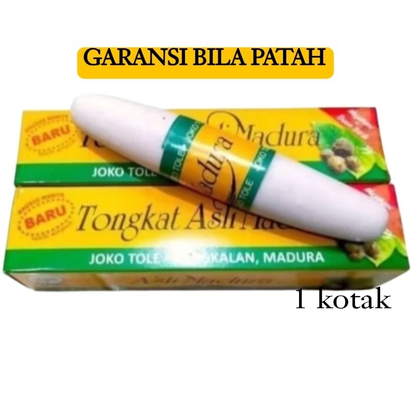 Tongkat Ali madura Joko Tole- Bangkalan Madura