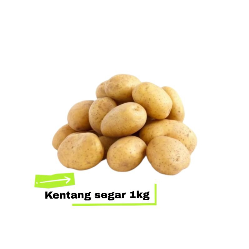 

Kentang segar 1kg (khusus sameday/spx instan)