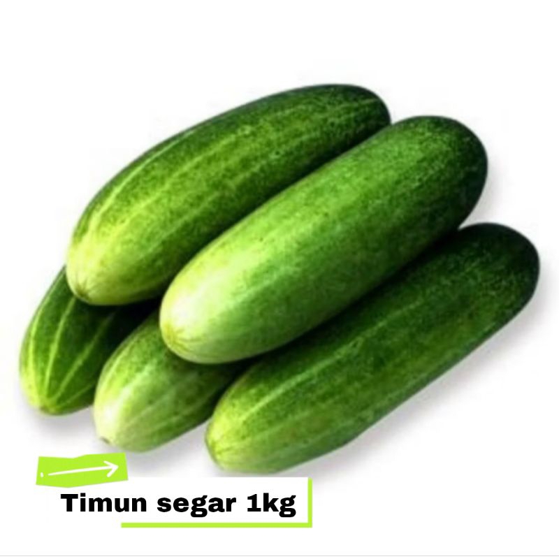 

Timun lalap segar 1kg (khusus sameday/instan)